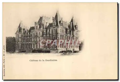 Cartes postales Chateau de la Gaudiniere