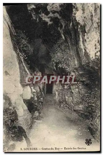Cartes postales Grottes Lourdes Grottes du Roy Entree des grottes