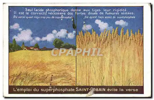 Cartes postales Publicite Superphosphate Saint Gobain