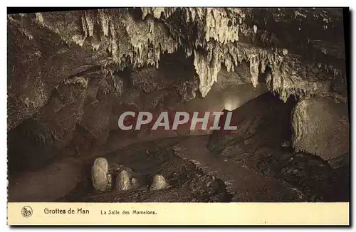 Ansichtskarte AK Grotte Grottes de Han La salle des Mamelons