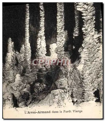 Ansichtskarte AK Grotte Grottes L'Aven Armand dans la foret vierge