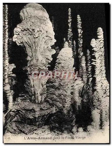 Cartes postales Grotte Grottes L'Aven Armand dans la foret vierge