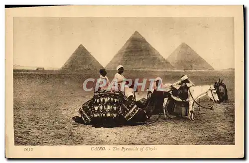 Cartes postales Egypte Egypt Cairo The Pyramids of Gizeh Ane Mule