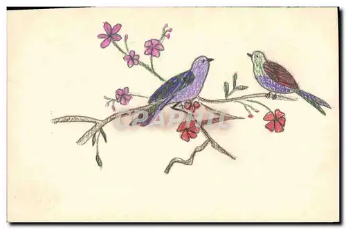 Ansichtskarte AK Fantaisie (dessin a la main) Oiseaux