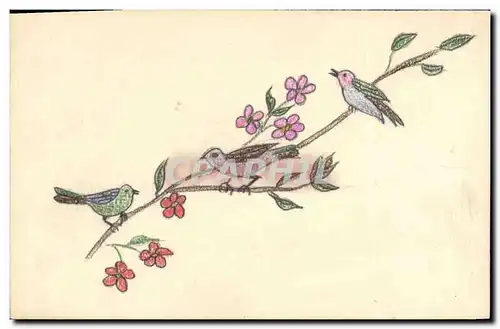 Cartes postales Fantaisie (dessin a la main) Oiseaux