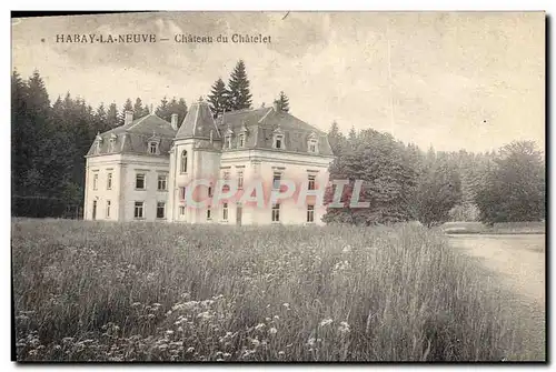 Cartes postales Chateau du Chatelet Habay la Neuve