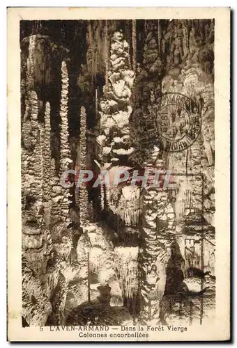 Cartes postales Grotte Grottes L'Aven Armand Dans la foret vierge Colonnes encorbellees