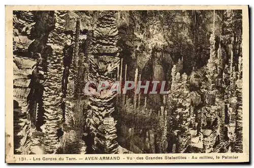 Ansichtskarte AK Grotte Grottes Aven Armand Vu des grandes stalactites Au milieu le palmier