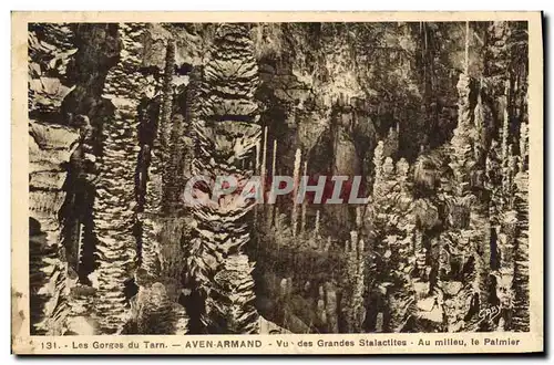 Cartes postales Grotte Grottes Aven Armand Vu des grandes stalactites Au milieu le palmier