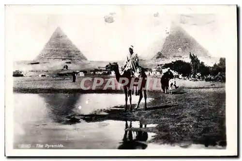 Ansichtskarte AK Egypt Egypte Cairo The pyramids
