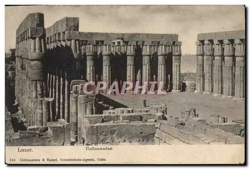 Ansichtskarte AK Egypt Egypte Luxor Colonnades