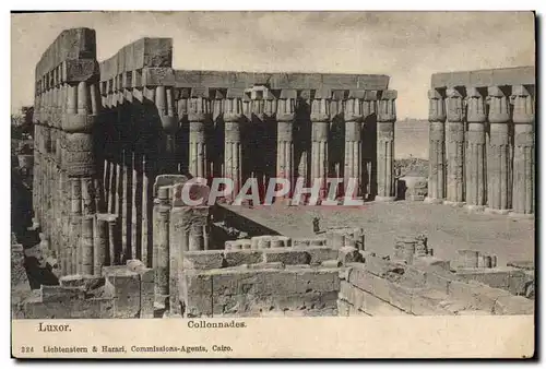 Cartes postales Egypt Egypte Luxor Colonnades