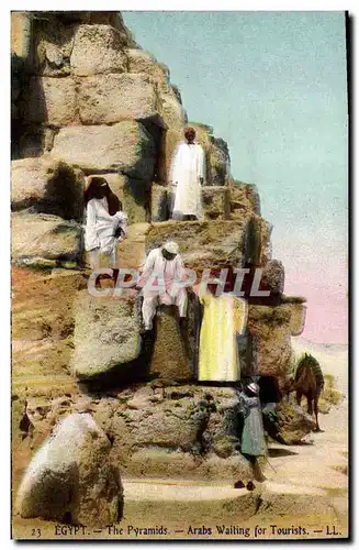 Cartes postales Egypt Egypte The Pyramids Arabas waiting for tourists