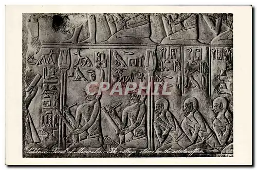 Cartes postales Egypt Egypte Sakkhara