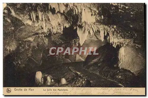 Cartes postales Grottes Grotte de Han La salle des Mamelons