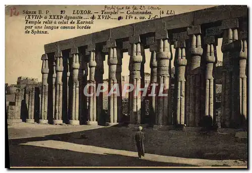 Cartes postales Egypt Egypte Luxor Temple Colonnades