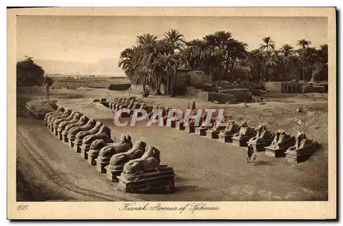 Ansichtskarte AK Egypt Egypte Karnak Avenue of Sphinxes