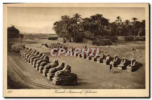 Cartes postales Egypt Egypte Karnak Avenue of Sphinxes