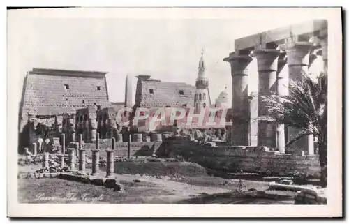 Ansichtskarte AK Egypt Egypte Luxor The temple