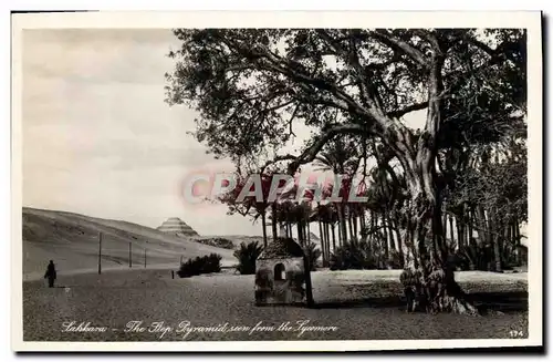 Cartes postales Egypt Egypte Sakkara The step pyramid seen from the Sycomore