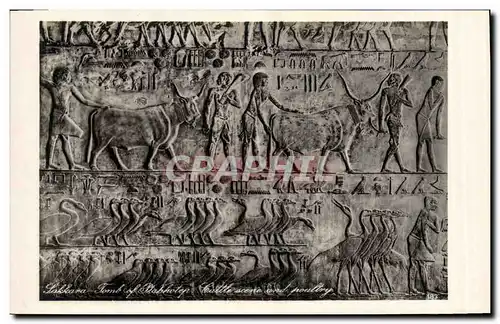 Cartes postales Egypt Egypte Sakkara Tomb