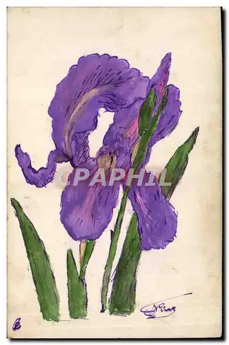 Ansichtskarte AK Fantaisie (dessin a la main)  Fleurs
