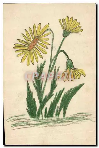 Cartes postales Fantaisie (dessin a la main)  Fleurs