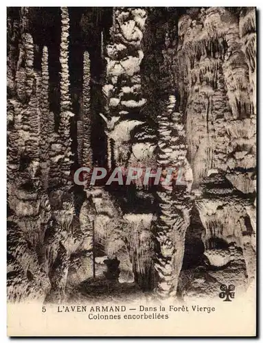 Ansichtskarte AK Grotte Grottes L'Aven Armand Dans la foret vierge Colonnes encorbeillees