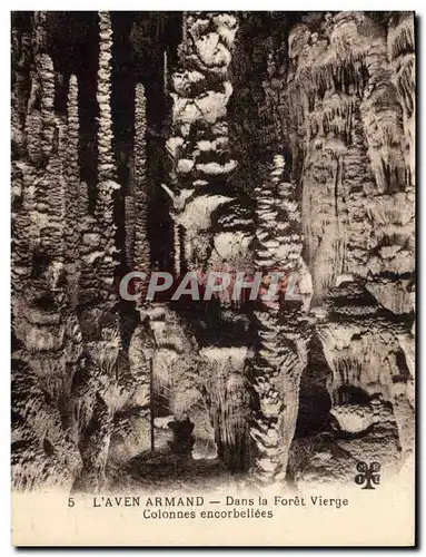 Cartes postales Grotte Grottes L'Aven Armand Dans la foret vierge Colonnes encorbeillees