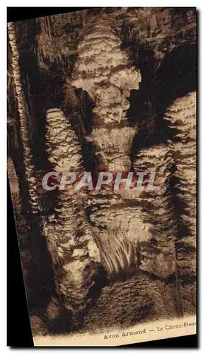 Cartes postales Grotte Grottes Aven Armand Le Choux Fleur