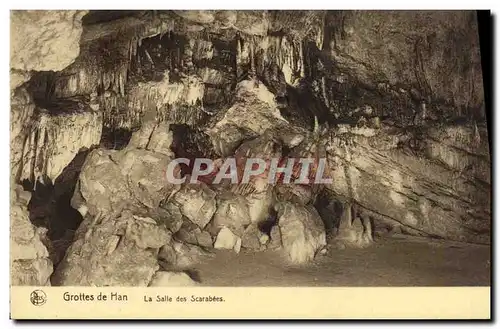 Ansichtskarte AK Grotte Grottes de Han La salle des scarabees