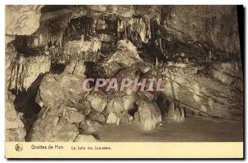 Cartes postales Grotte Grottes de Han La salle des scarabees