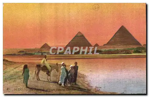 Ansichtskarte AK Egypt Egypte The Pyramids of Gizeh showing overflow of river Nile