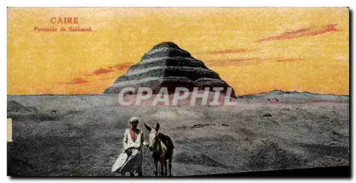 Cartes postales Egypt Egypte Caire Pyramide de Sakkarah Ane Mule