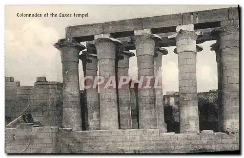 Ansichtskarte AK Egypt Egypte Colonnades of the Luxor tempel