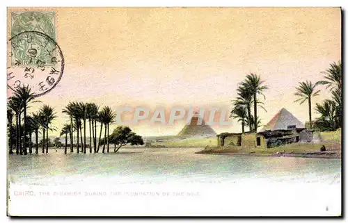 Cartes postales Egypt Egypte Cairo The pyramids during the inundation of the Nile