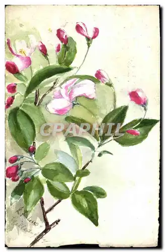 Cartes postales Fantaisie (dessin a la main) Fleurs