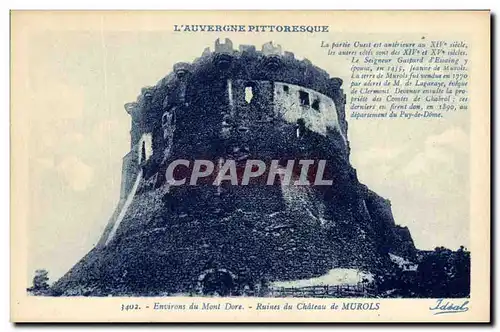 Cartes postales L'Auvergne pittoresque Environs du Mont Dore Ruines du chateau de Murols