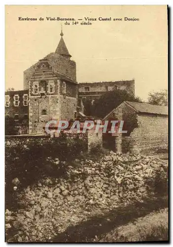 Cartes postales Environs de Vise Berneau Vieux Castel avec Donjon du 14 siecle