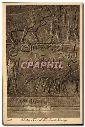 Ansichtskarte AK Egypt Egypte Sakkara Tomb of Ti Mural Paintings