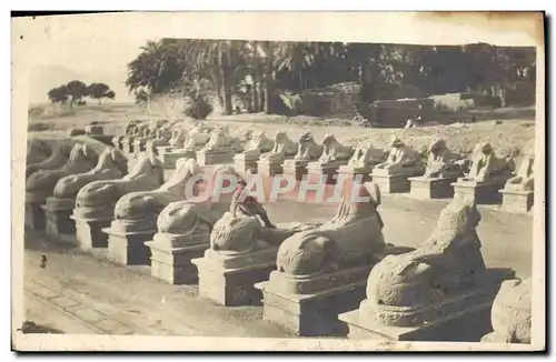 CARTE PHOTO Egypt Egypte Karnak