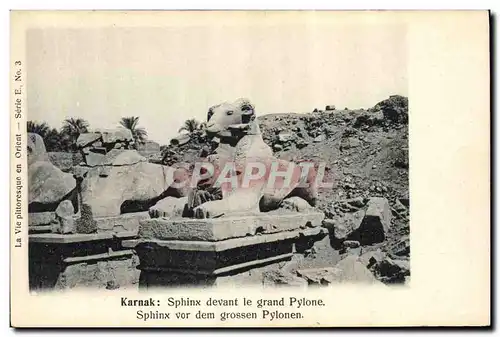 Ansichtskarte AK Egypt Egypte Karnak Sphinx devant le grand Pylone