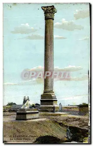 Cartes postales Egypt Egypte Alexandria la Colonne Pompee