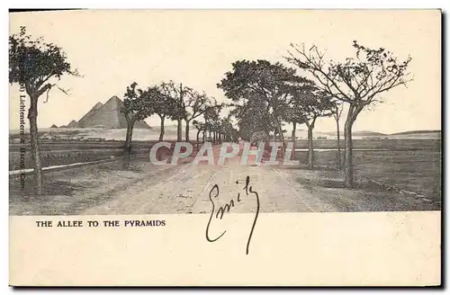 Cartes postales Egypte Egypt L'allee aux pyramides