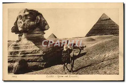 Ansichtskarte AK Egypte Egypt Caire Sphinx et les Pyramides