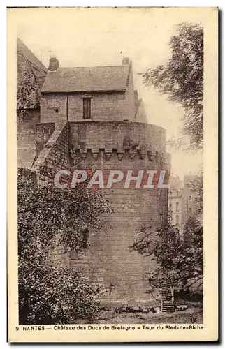 Cartes postales Nantes chateau des ducs de bretagne Tour du Pled de Blech