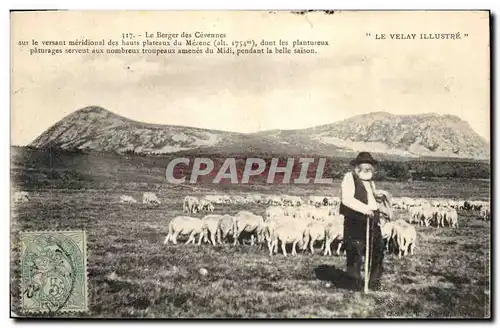 Cartes postales Folklore Le berger des Cevennes Le Velay Moutons