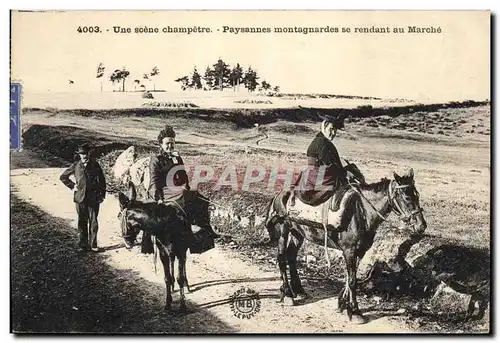 Ansichtskarte AK Folklore Une scene champetre Paysannes montagnardes se rendant au marche Ane Mule