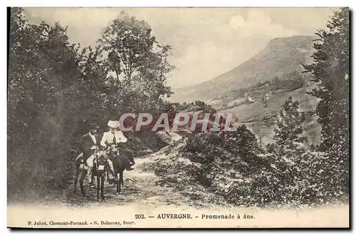 Cartes postales Folklore Auvergne Promenade a ane Mule