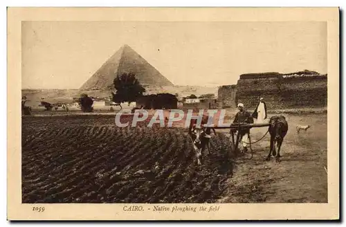 Cartes postales Egypt Egypte Cairo Native ploughing the field